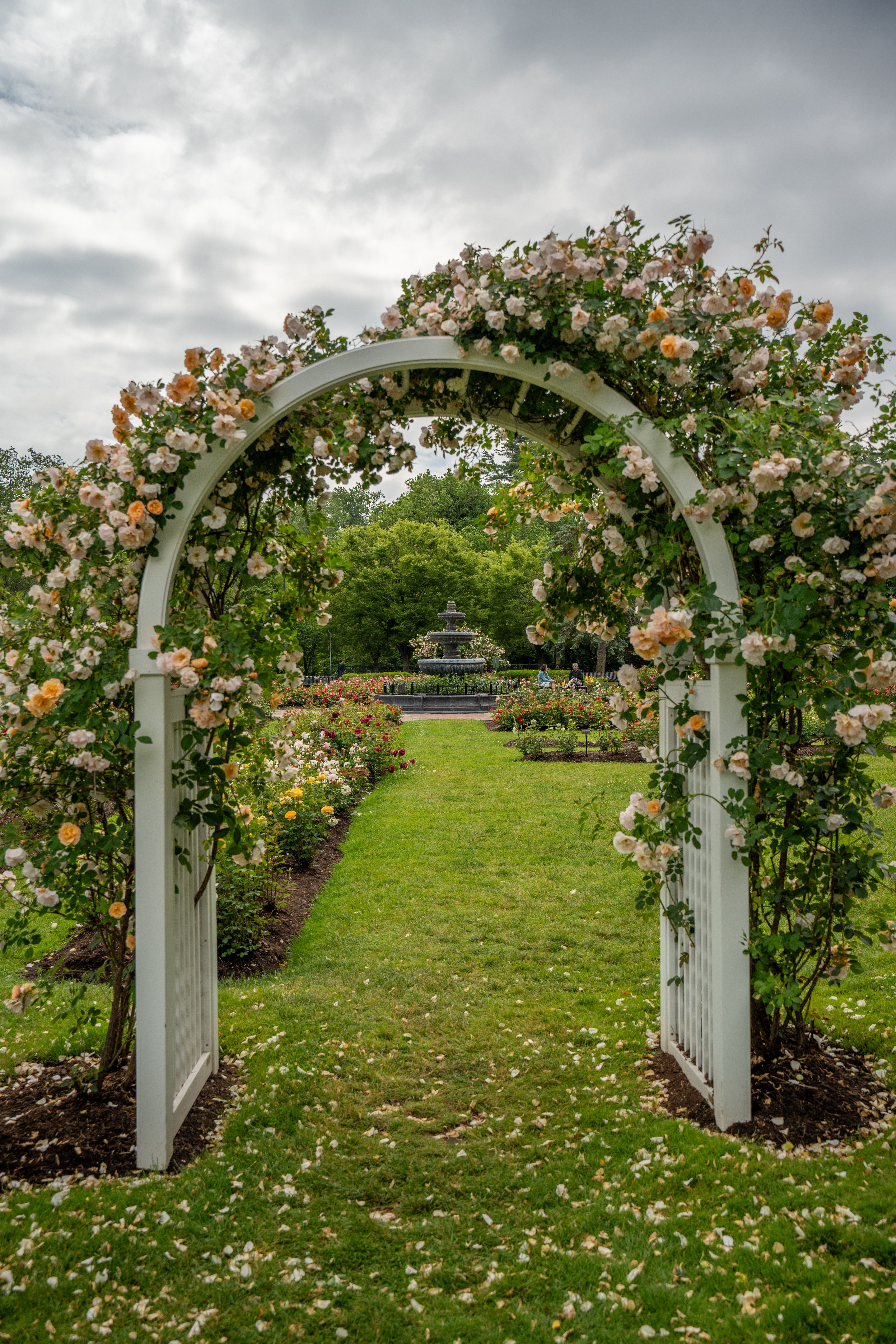 Rose-covered garden arch framing a fountain path